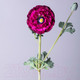 Миниатюра изображения товара Искусственный цветок Lefard Ранункулюс / 287-527