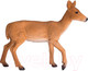 Миниатюра изображения товара Фигурка коллекционная Konik Белохвостый олень Самка / AMW2086