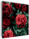 Миниатюра изображения товара Картина Stamprint Красные розы АT040 (67x67см)