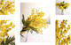 Миниатюра изображения товара Картины Stamprint Желтая осень CS001 SET5 (90x140см)