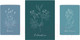 Миниатюра изображения товара Картины Stamprint Блакитные травы CS005 SET3 (80x160см)