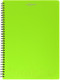 Миниатюра изображения товара Тетрадь inФормат IFNGR-96-LG (96л, салатовый)