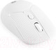 Миниатюра изображения товара Мышь Оклик 509MW (белый)