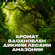 Миниатюра изображения товара Шампунь-гель для душа Axe Сила джунглей (610мл)