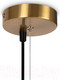 Миниатюра изображения товара Люстра Freya Blossom FR5259PL-06BS