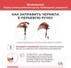 Миниатюра изображения товара Ручка перьевая Малевичъ С конвертером / 196404 (фиолетовый)