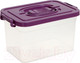 Миниатюра изображения товара Контейнер для хранения Соломон С крышкой / 9897544 (фиолетовый)