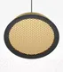 Миниатюра изображения товара Потолочный светильник Maytoni El MOD041PL-L15G3K