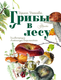 Миниатюра изображения товара Энциклопедия АСТ Грибы в лесу, твердая обложка (Уханова Ирина)