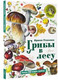 Миниатюра изображения товара Энциклопедия АСТ Грибы в лесу, твердая обложка (Уханова Ирина)