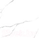 Миниатюра изображения товара Плитка LCM Atlantic Marble 6060AMR00P (600x600)
