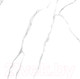 Миниатюра изображения товара Плитка LCM Atlantic Marble 6060AMR00P (600x600)