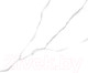 Миниатюра изображения товара Плитка LCM Atlantic Marble 6060AMR00P (600x600)