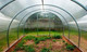 Миниатюра изображения товара Теплица Садовод Элит ОТ 0.42кг/м2 (4м, с поликарбонатом)