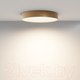 Миниатюра изображения товара Потолочный светильник Maytoni Zon C032CL-45W3K-RD-MG