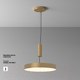 Миниатюра изображения товара Потолочный светильник Maytoni Zon C032CL-45W3K-RD-MG