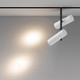 Миниатюра изображения товара Трековый светильник Maytoni Elti Duo TR005-4-2X12W-DS-BW