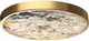 Миниатюра изображения товара Потолочный светильник Odeon Light Bergi 5079/40L