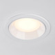 Миниатюра изображения товара Точечный светильник Lightstar Zocco 220132