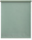 Миниатюра изображения товара Рулонная штора LEGRAND Блэкаут Фэшн 61.5x175 / 58126599 (шалфей)
