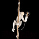 Миниатюра изображения товара Потолочный светильник Loftit Monkey 10314P