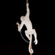Миниатюра изображения товара Потолочный светильник Loftit Monkey 10314P