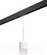Миниатюра изображения товара Трековый светильник Lightstar Rullo PRORP348681