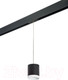 Миниатюра изображения товара Трековый светильник Lightstar Rullo PRORP34873486