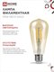Миниатюра изображения товара Лампа INhome LED-ST64-deco / 4690612050843