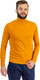 Миниатюра изображения товара Водолазка Isee SG100067J  (р.54, желтый)