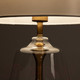 Миниатюра изображения товара Прикроватная лампа Arte Lamp Pleione A5045LT-1PB