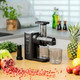 Миниатюра изображения товара Соковыжималка электрическая Zelmer EasyJuice ZJP3900