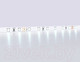 Миниатюра изображения товара Светодиодная лента Ambrella 2835 60Led 6W 6500K / GS3003