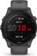 Миниатюра изображения товара Умные часы Garmin Forerunner 255 46mm / 010-02641-10 (Slate Grey)