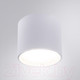 Миниатюра изображения товара Точечный светильник Arte Lamp Intercrus A5548PL-1WH