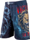 Миниатюра изображения товара Шорты для единоборств RuscoSport Lion для ММА (XXL)