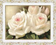 Миниатюра изображения товара Картина Декарт Белые розы 8Л2372 (в раме)