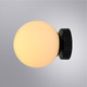Светильник Arte Lamp Alcor A2224PL-1BK — фото 5