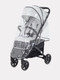 Миниатюра изображения товара Детская прогулочная коляска Rant Life / RA104 (серый)