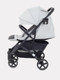 Миниатюра изображения товара Детская прогулочная коляска Rant Life / RA104 (серый)