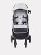Миниатюра изображения товара Детская прогулочная коляска Rant Life / RA104 (серый)