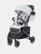 Миниатюра изображения товара Детская прогулочная коляска Rant Life / RA104 (серый)