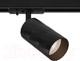 Миниатюра изображения товара Трековый светильник Arte Lamp Fang A5560PL-1BK