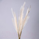 Миниатюра изображения товара Искусственная ветка Lefard Помпасная трава / 535-358 (кремовый)