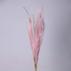 Миниатюра изображения товара Искусственная ветка Lefard Помпасная трава / 535-426 (пастельный розовый)