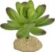 Миниатюра изображения товара Декорация для террариума Exoprima Растение Суккулент игольчатый / 40027/EP (зеленый)