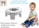 Миниатюра изображения товара Дорожный горшок Roxy-Kids HandyPotty / HP-255GG (серый/серый)