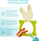 Миниатюра изображения товара Прорезыватель для зубов Roxy-Kids Bunny / RBT-001GNSC (зеленый)