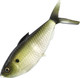Миниатюра изображения товара Мягкая приманка 13 Fishing The Dine Swimbait / CB-DINE4.25-5