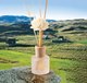 Миниатюра изображения товара Аромадиффузор Miniso Reed Diffuser. Soft of Love 0318